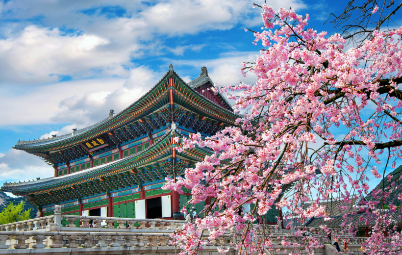 South Korea 6D/5N