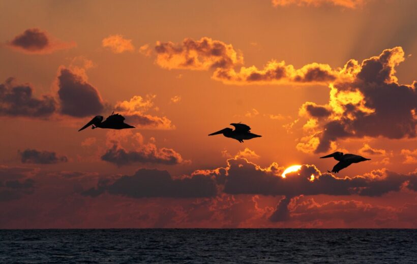 Punta Cana- Impressive Resort & Spas 4D-3N